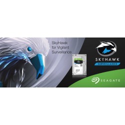 SEAGATE SKYHAWK